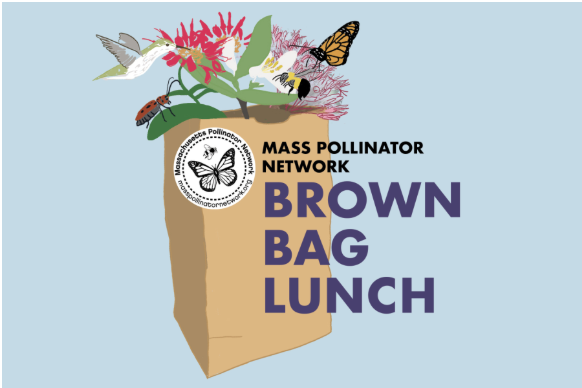 Massachusetts Pollinator Network - Drop-in Brown Bag Lunch